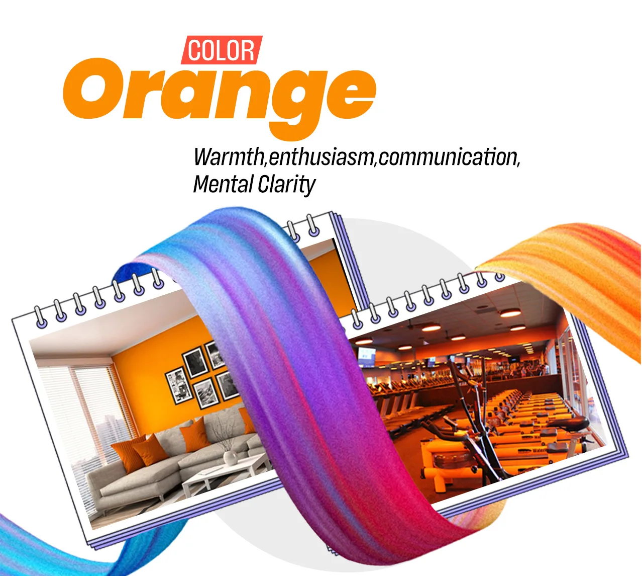 Artboard 7 | European Flooring Orange color psychology in hardwood flooring for interior design is warmth, enthusiasm, communication, and mental clarity.